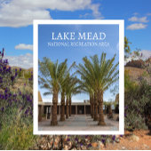 Palmboom-omzoomde wandeling Bezoekerscentrum Lake  Briefkaart