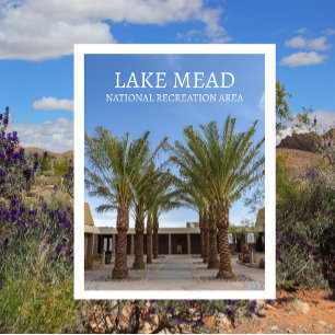 Palmboom-omzoomde wandeling Bezoekerscentrum Lake  Briefkaart