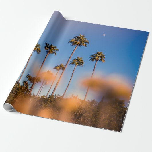 Palmboom onder blauwe hemel cadeaupapier (Uitgerold)