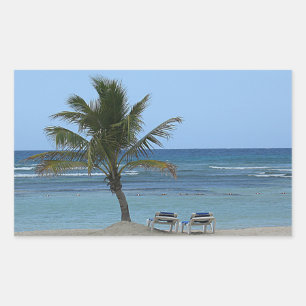 Palmboom op de strand rechthoekige sticker