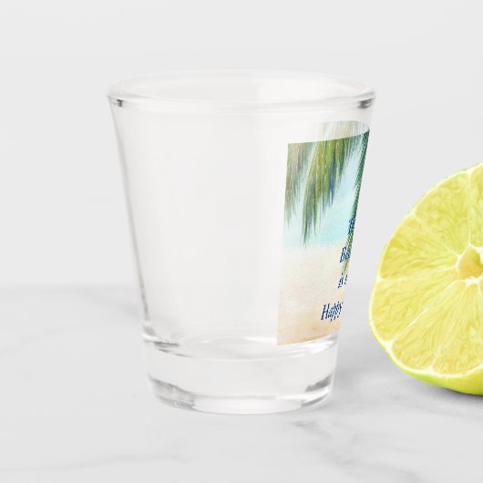 Palmboom op een zonnige dag op het strand shot glas (Links)