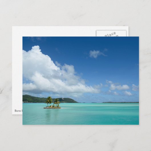 Palmboom op het briefkaart van de baai van Bora Bo (Voorkant / Achterkant)