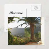 Palmboom op het eiland Korfoe Briefkaart (Voorkant / Achterkant)