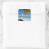 Palmboom op het mooie witte zandstrand vierkante sticker (Tas)
