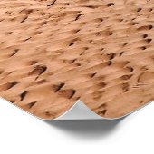 Palmboom op het strand in de ochtend poster (Hoek)