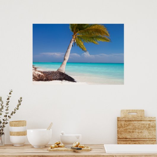 Palmboom op het strand van de oceaan poster (Keuken)