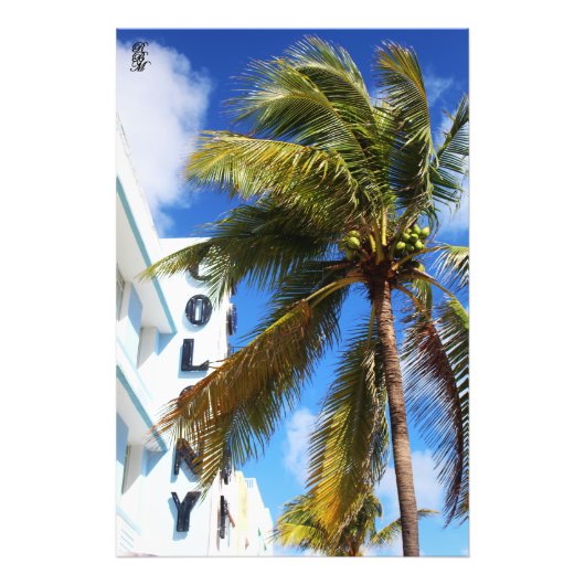 Palmboom op Miami Beach Foto Afdruk (Voorkant)