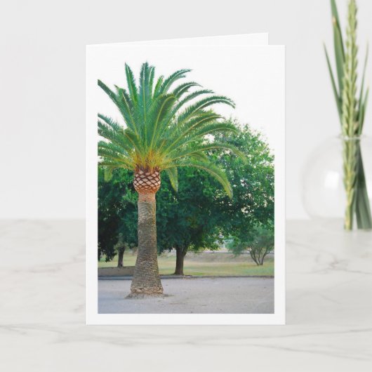 Palmboom Portret Kaart (Voorkant)