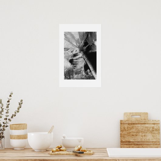Palmboom Poster (Keuken)