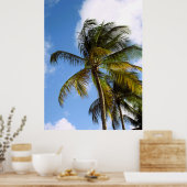Palmboom poster (Keuken)