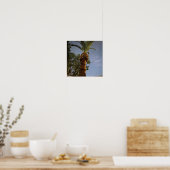 Palmboom 🌴 poster (Keuken)