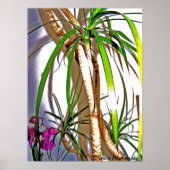 Palmboom Poster (Voorkant)