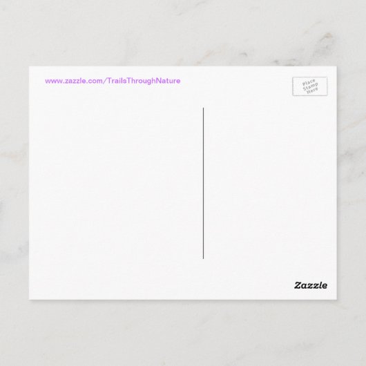 Palmboom Puffy clouds Florida Briefkaart (Achterkant)