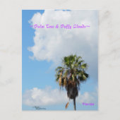 Palmboom Puffy clouds Florida Briefkaart (Voorkant)