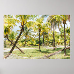 Palmboom 's ochtends poster