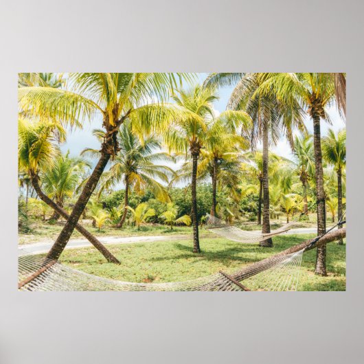 Palmboom 's ochtends poster (Voorkant)