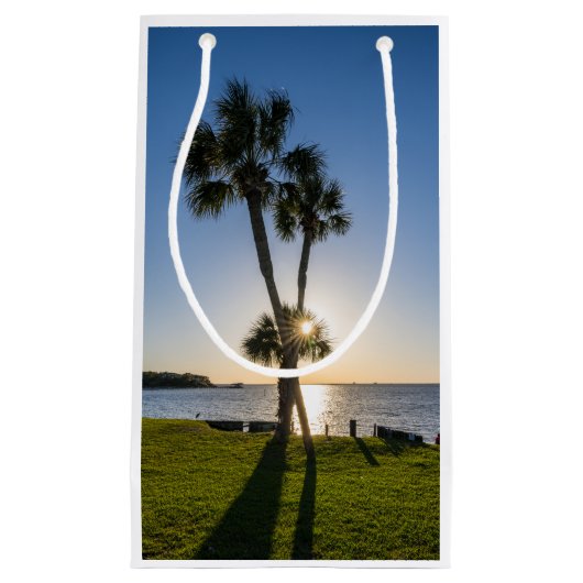 Palmboom Schaar Silhouet Gift Bag Klein Cadeauzakje (Voorkant)