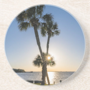 Palmboom Schaar Silhouet Onderzetter