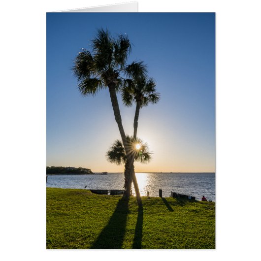 Palmboom Schaar Silhouet Wenskaart (Voorkant)