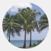 Palmboom sticker (Voorkant)