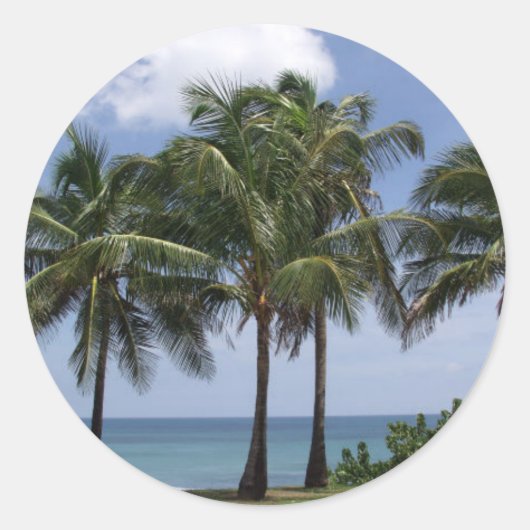 Palmboom sticker (Voorkant)