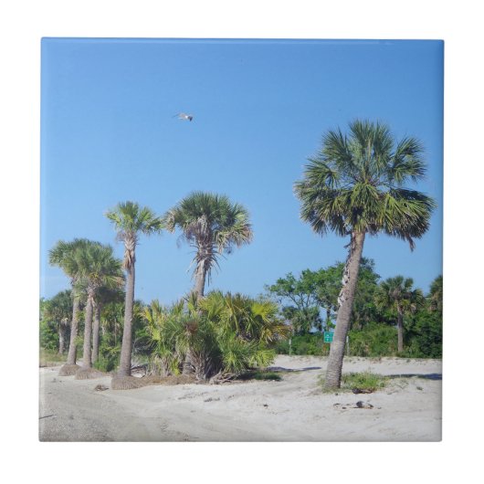 Palmboom tegel tegeltje (Voorkant)