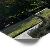 Palmboom tegen een blauwe hemel poster (Hoek)