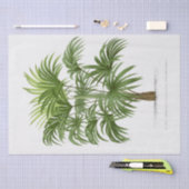  palmboom tissuepapier (Craft)