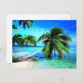Palmboom Tropical Island Beach Briefkaart (Voorkant / Achterkant)