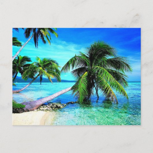 Palmboom Tropical Island Beach Briefkaart (Voorkant)