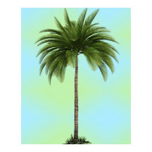  palmboom Tropisch Elegant Green