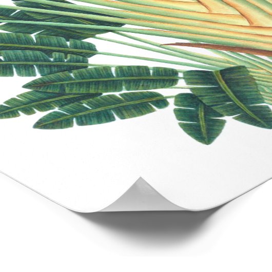 Palmboom Tropisch Plant Poster #1 strandeeg (Hoek)