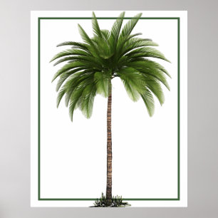  palmboom Tropische legant Poster