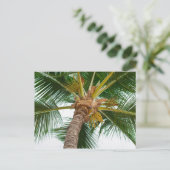 Palmboom van beneden briefkaart (Staand voorkant)