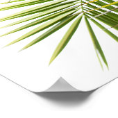 Palmboom verlaat tropische natuur foto poster (Hoek)
