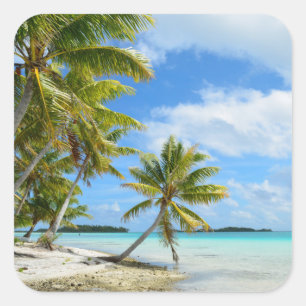 Palmboom wit zandstrand foto sticker