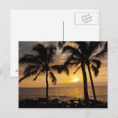 Palmboom zonsondergang briefkaart (Voorkant / Achterkant)