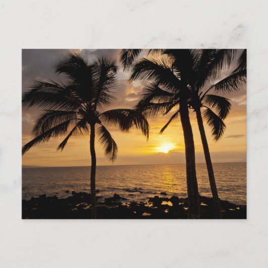Palmboom zonsondergang briefkaart (Voorkant)