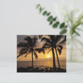 Palmboom zonsondergang briefkaart (Staand voorkant)