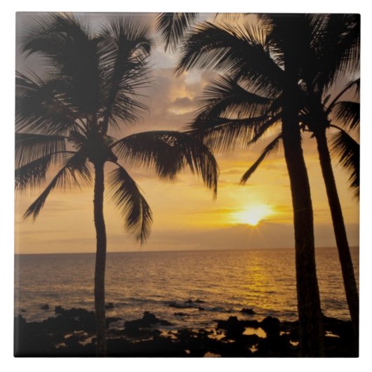 Palmboom zonsondergang tegeltje (Voorkant)