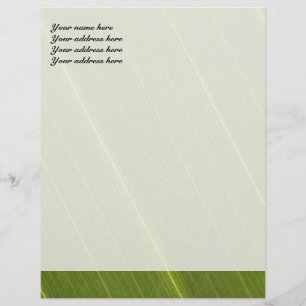 Palmboomblad Briefhoofd Ontwerp