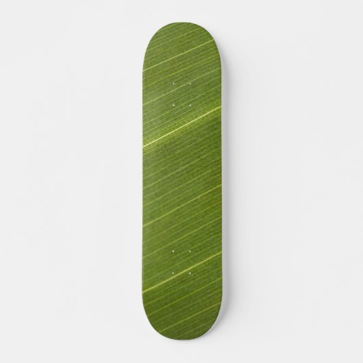 Palmboomblad Persoonlijk Skateboard (Voorkant)