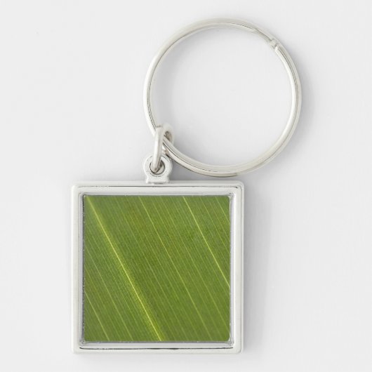 Palmboomblad Sleutelhanger (Voorkant)
