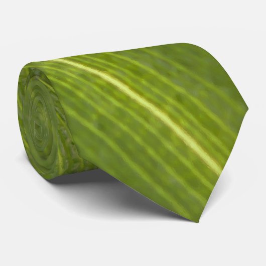 Palmboomblad Stropdas (Opgerold)