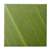 Palmboomblad Tegeltje (Voorkant)