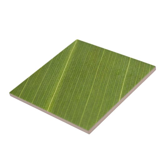 Palmboomblad Tegeltje (Zijkant)