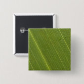 Palmboomblad Vierkante Button 5,1 Cm (Voorkant /achterkant)