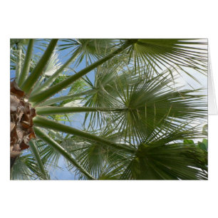 Palmboombladeren
