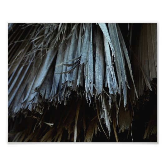 Palmboombladeren Foto Afdruk (Voorkant)