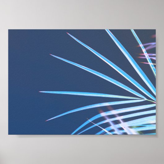 Palmboombladeren Minimalisme Schets Poster (Voorkant)